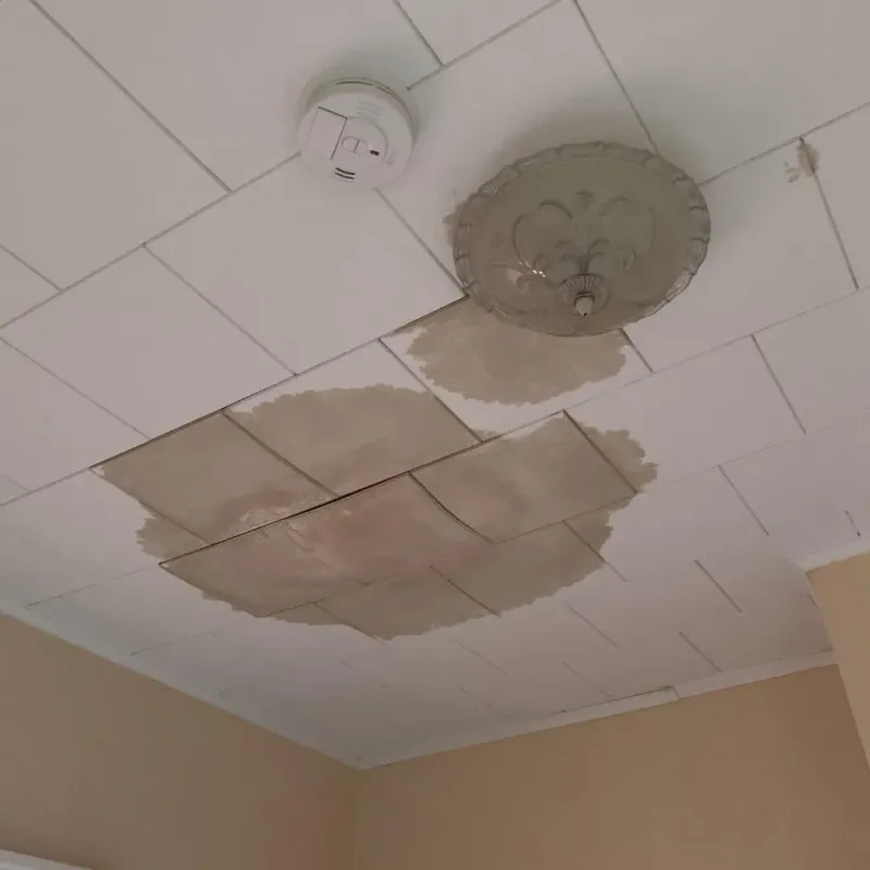 Ceiling Water Damage Repair in Fayetteville, AR