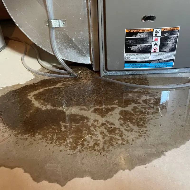 Pipe Burst and Leak Restoration in Fayetteville, AR